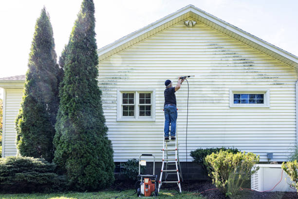 Best Sidewalk and Walkway Pressure Cleaning in Altavista, VA